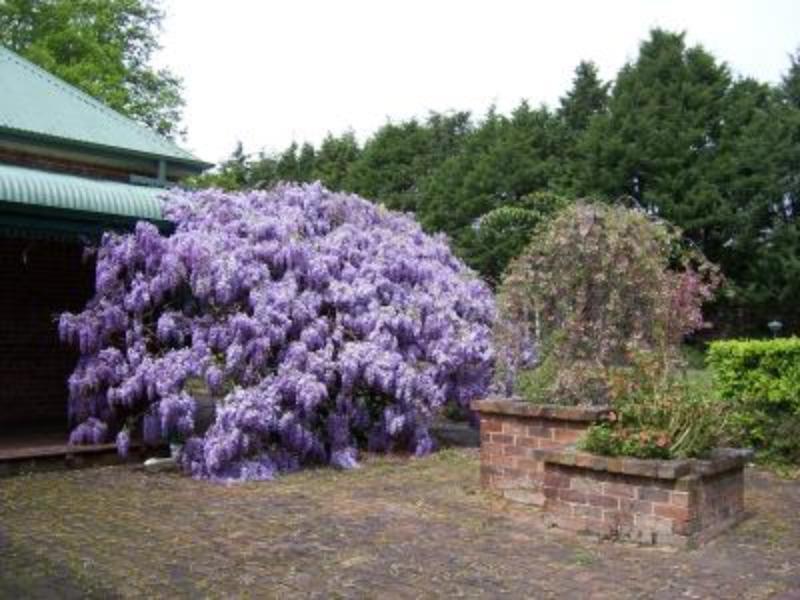 Heronswood House B & B 莫斯谷 外观 照片